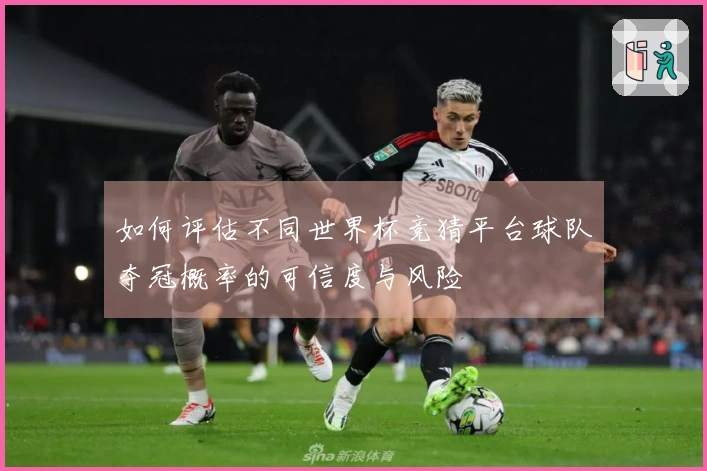 如何评估不同世界杯竞猜平台球队夺冠概率的可信度与风险