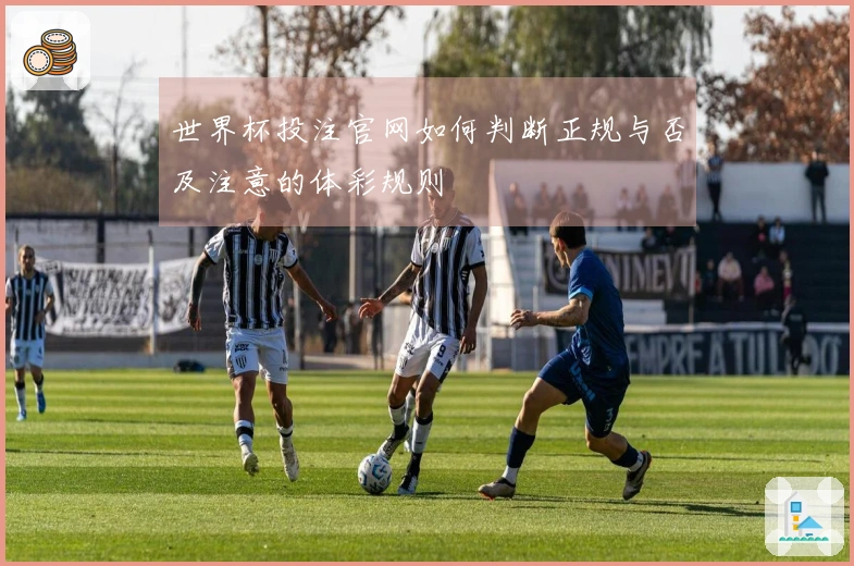 世界杯投注官网如何判断正规与否及注意的体彩规则