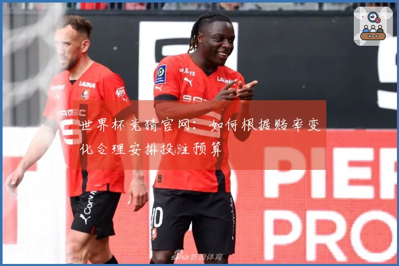 世界杯竞猜官网：如何根据赔率变化合理安排投注预算