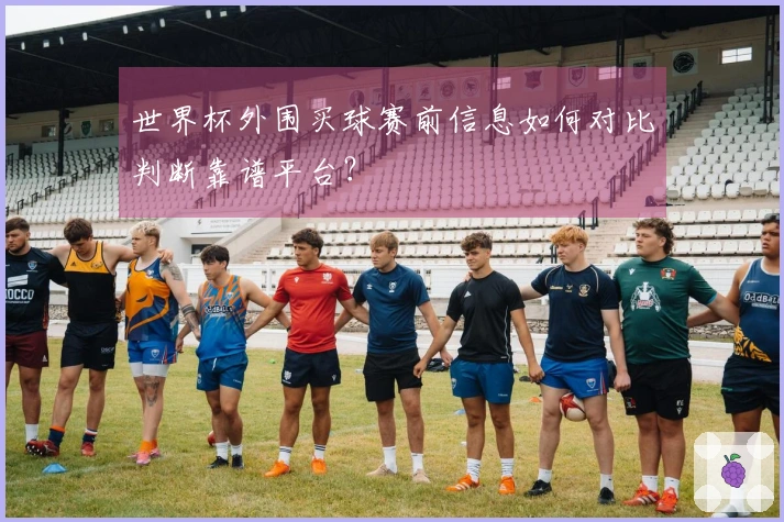 世界杯外围买球赛前信息如何对比判断靠谱平台?