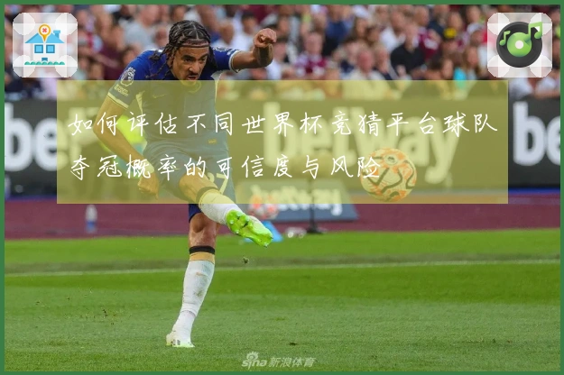 如何评估不同世界杯竞猜平台球队夺冠概率的可信度与风险